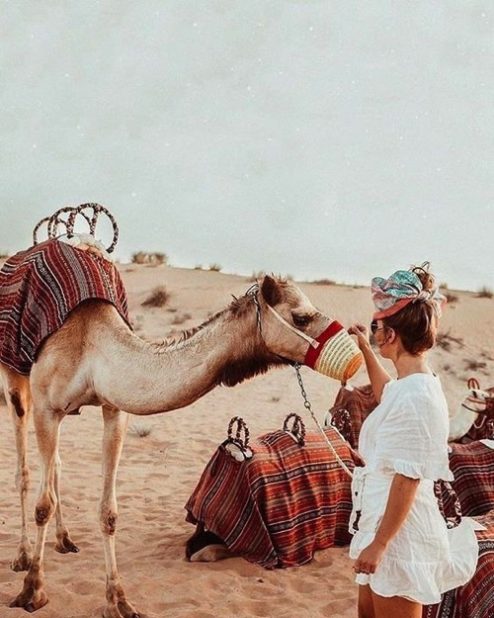 Balade Dromadaire activité-evjf-à-Marrakech